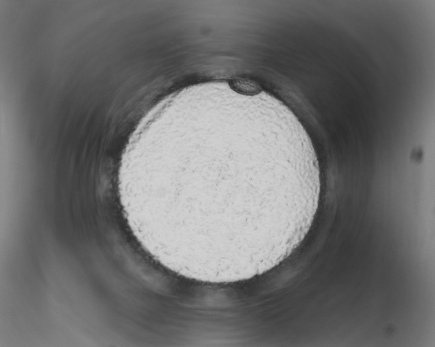 X0000115550073200912181603