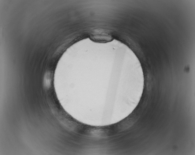 X0000115550075200912181603