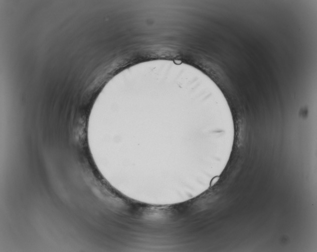 X0000115550077200912181603