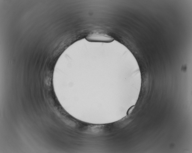 X0000115550078200912181603