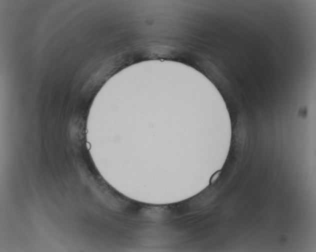 X0000115550079200912181603