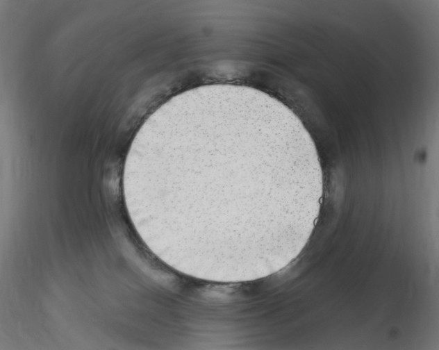 X0000115550086200912181603