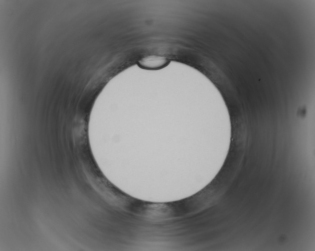 X0000115550087200912181603