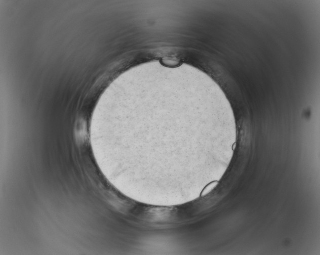 X0000115550089200912181603