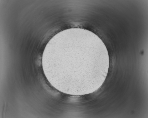 X0000115550090200912181603