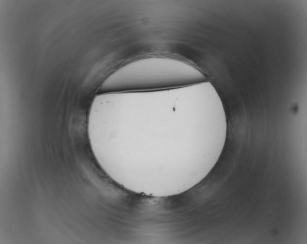 X0000115550092200912181603