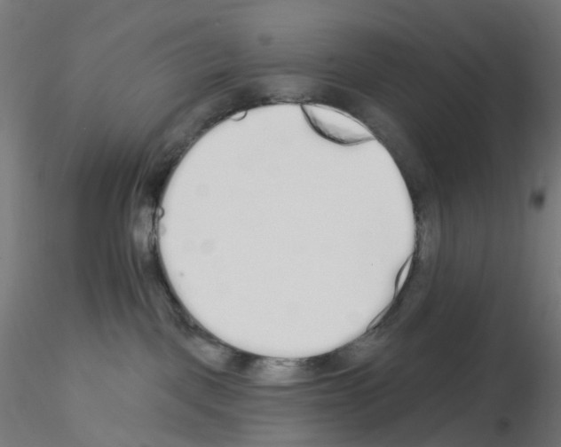 X0000115550093200912181603