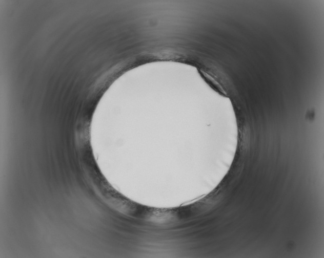 X0000115550095200912181603