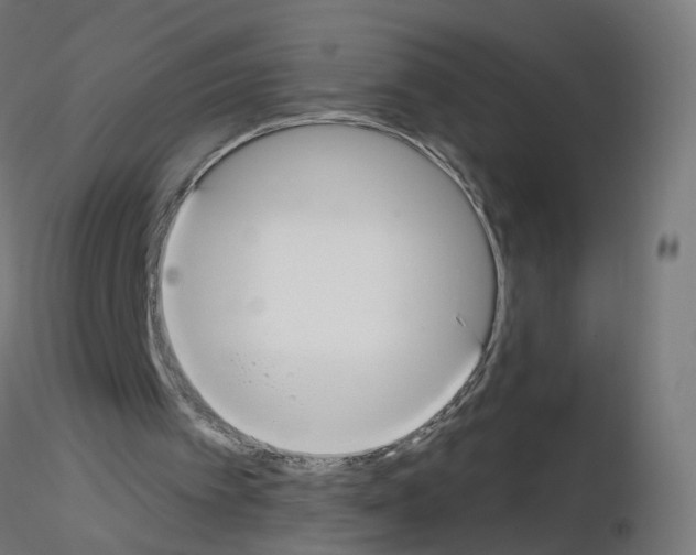 X0000115550097200912181602