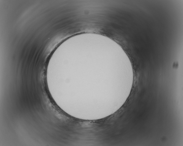 X0000115550098200912181602