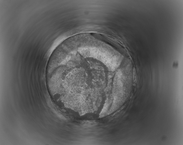 X0000115550099200912181602