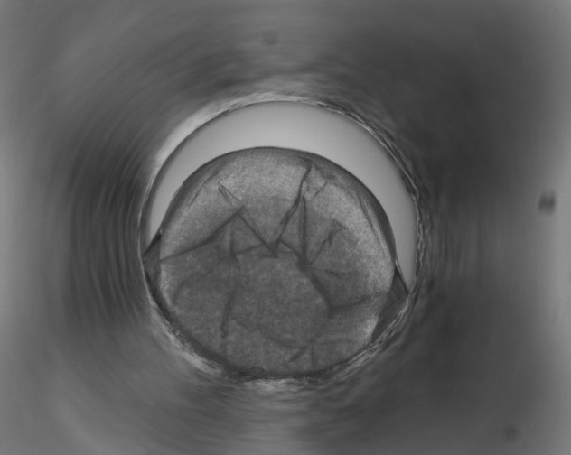 X0000115550100200912181602