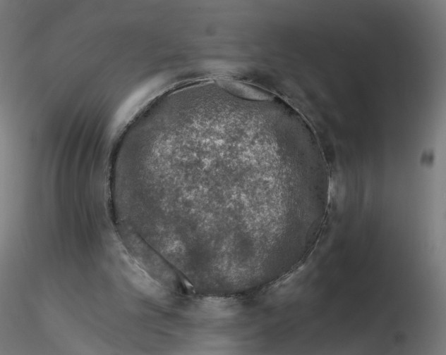 X0000115550101200912181602