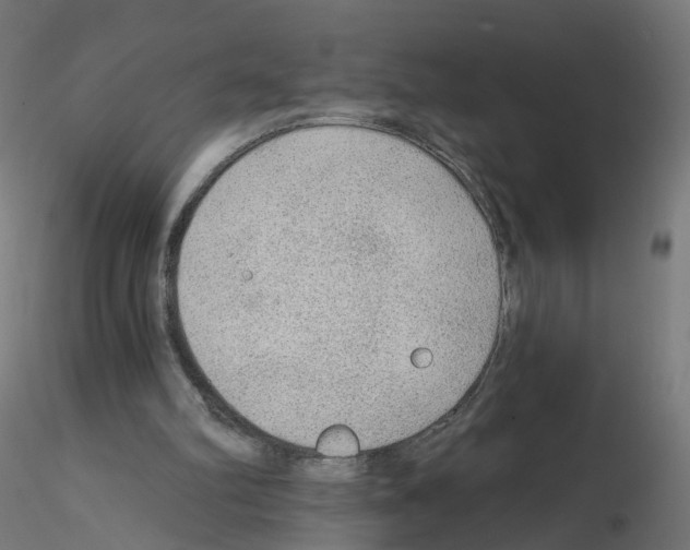 X0000115550102200912181602