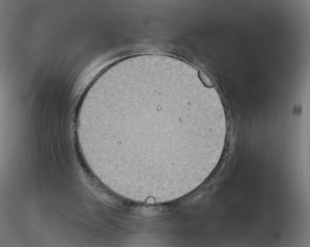 X0000115550103200912181602