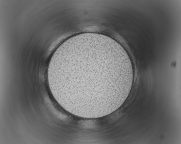 X0000115550106200912181602