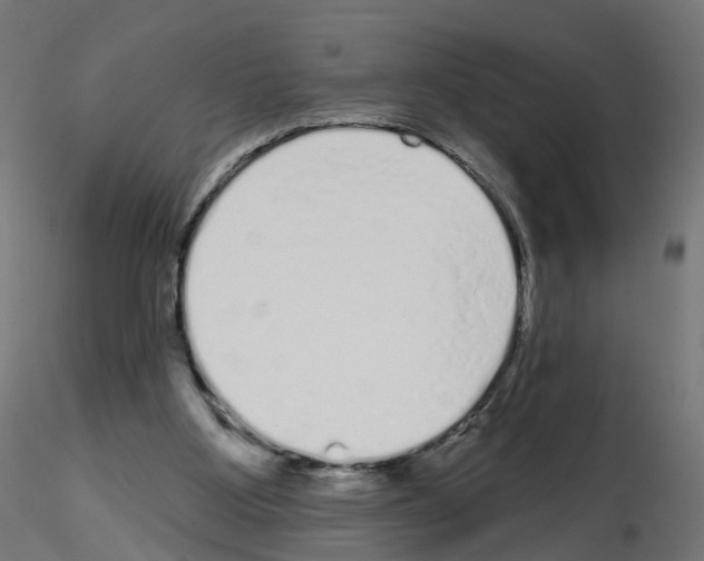 X0000115550107200912181602