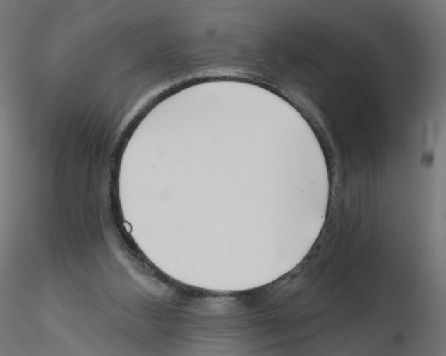 X0000115550108200912181602