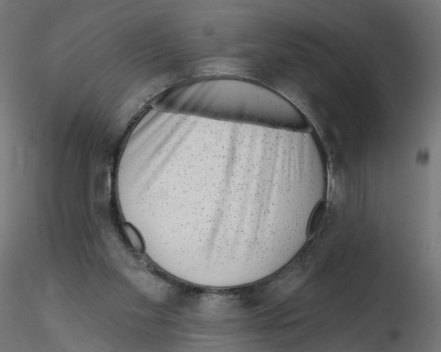 X0000115550109200912181602