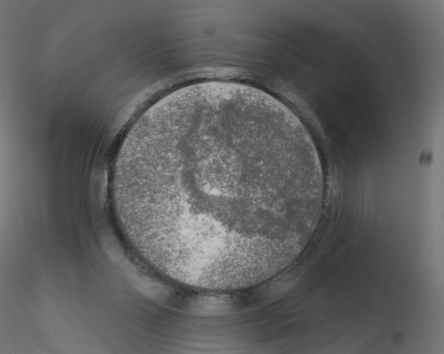 X0000115550110200912181602