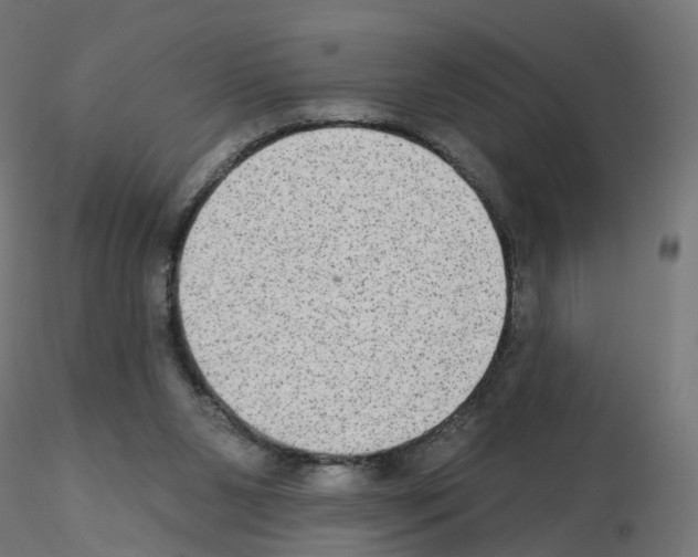 X0000115550111200912181602