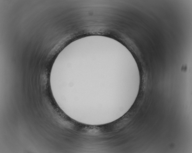 X0000115550113200912181602