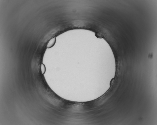 X0000115550116200912181602