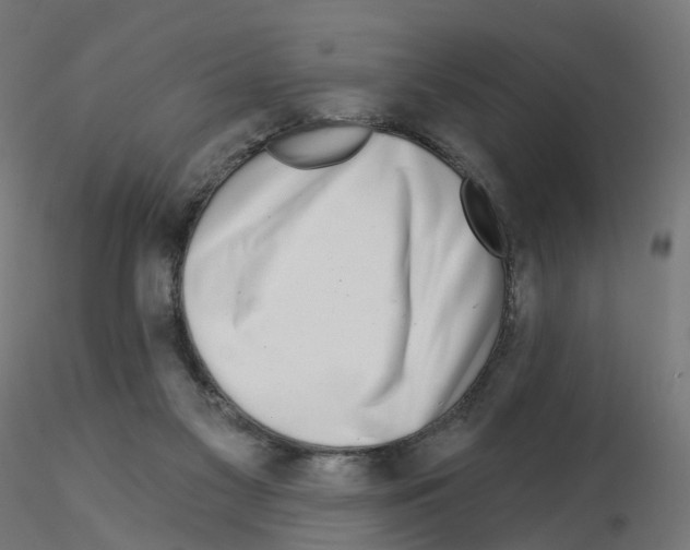 X0000115550117200912181602