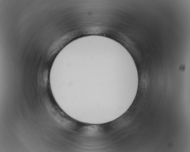 X0000115550118200912181602