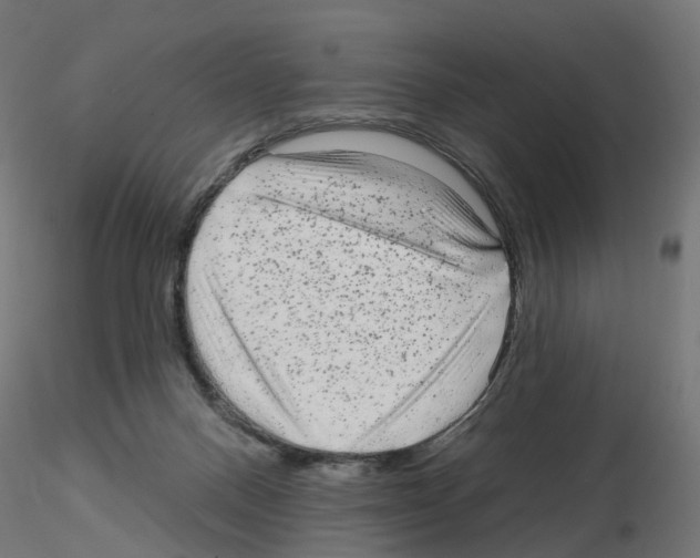 X0000115550120200912181602