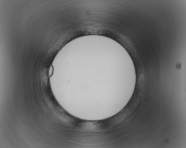 X0000115550121200912181602