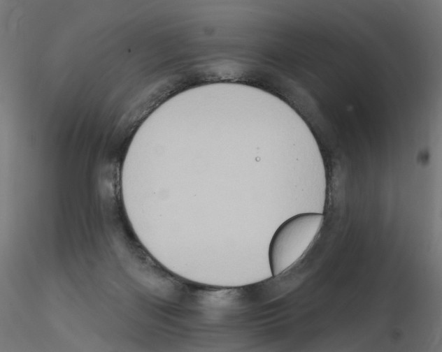 X0000115550122200912181602