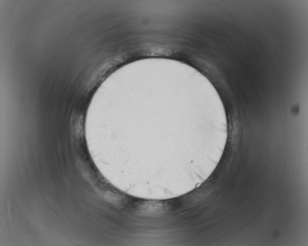 X0000115550123200912181602