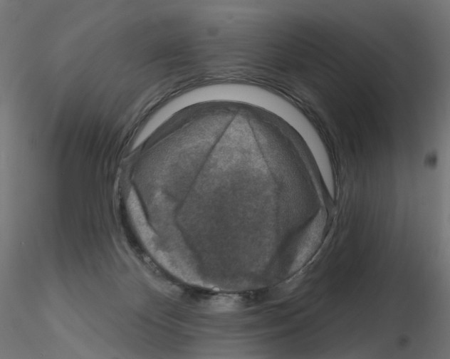 X0000115550124200912181602