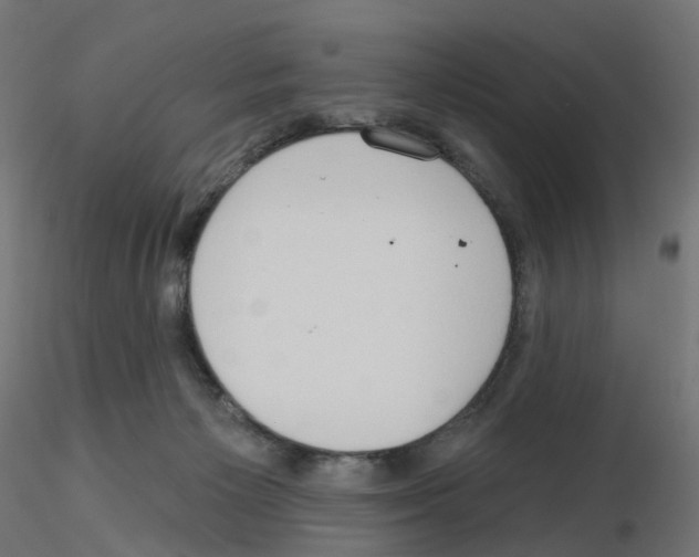 X0000115550125200912181602