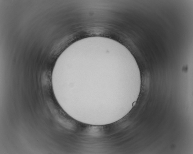 X0000115550126200912181602