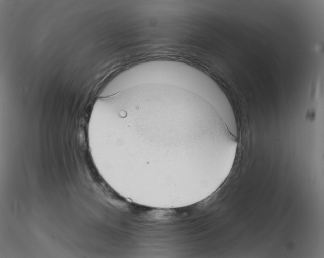 X0000115550128200912181602