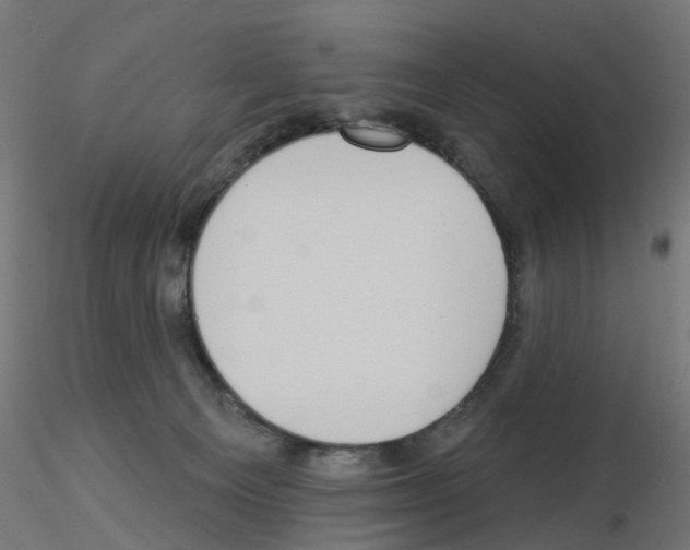 X0000115550129200912181602