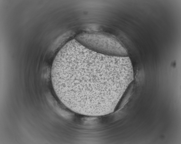 X0000115550132200912181602