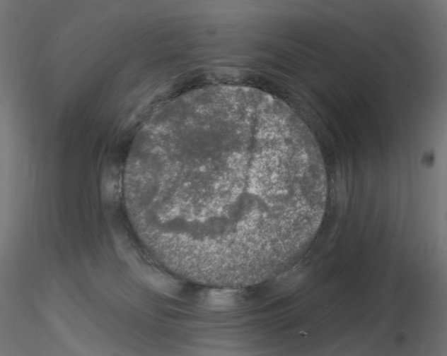 X0000115550134200912181602