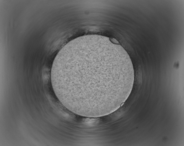 X0000115550135200912181602