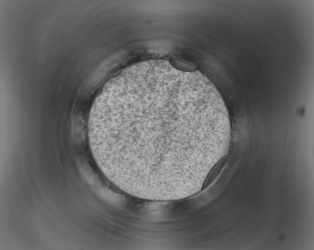 X0000115550136200912181602