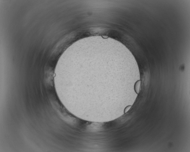 X0000115550138200912181602