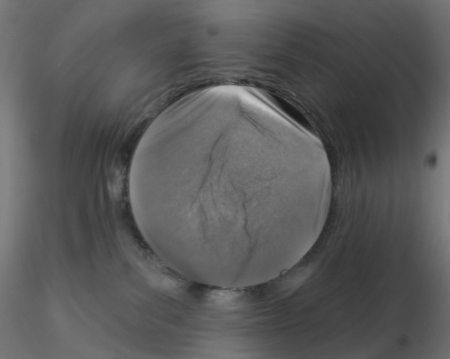 X0000115550139200912181602