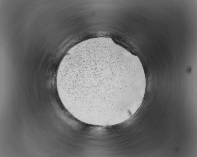 X0000115550140200912181602