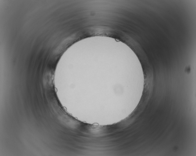 X0000115550142200912181602