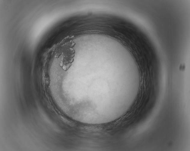 X0000115550146200912181601