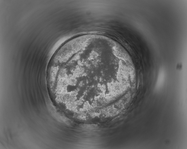 X0000115550147200912181601