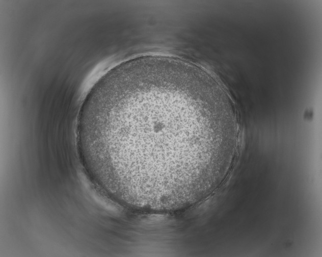 X0000115550151200912181601