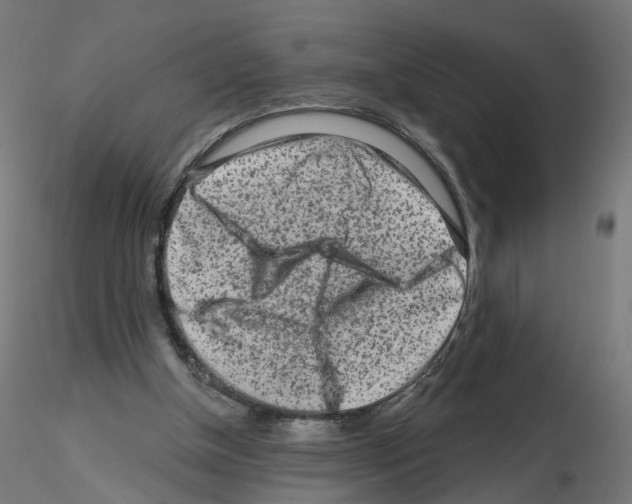 X0000115550154200912181601